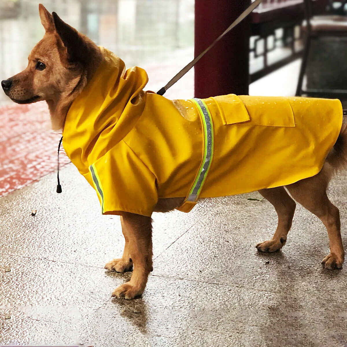 Waterproof Rain Jacket With Safety Reflective Stripe - For Boo n Meow