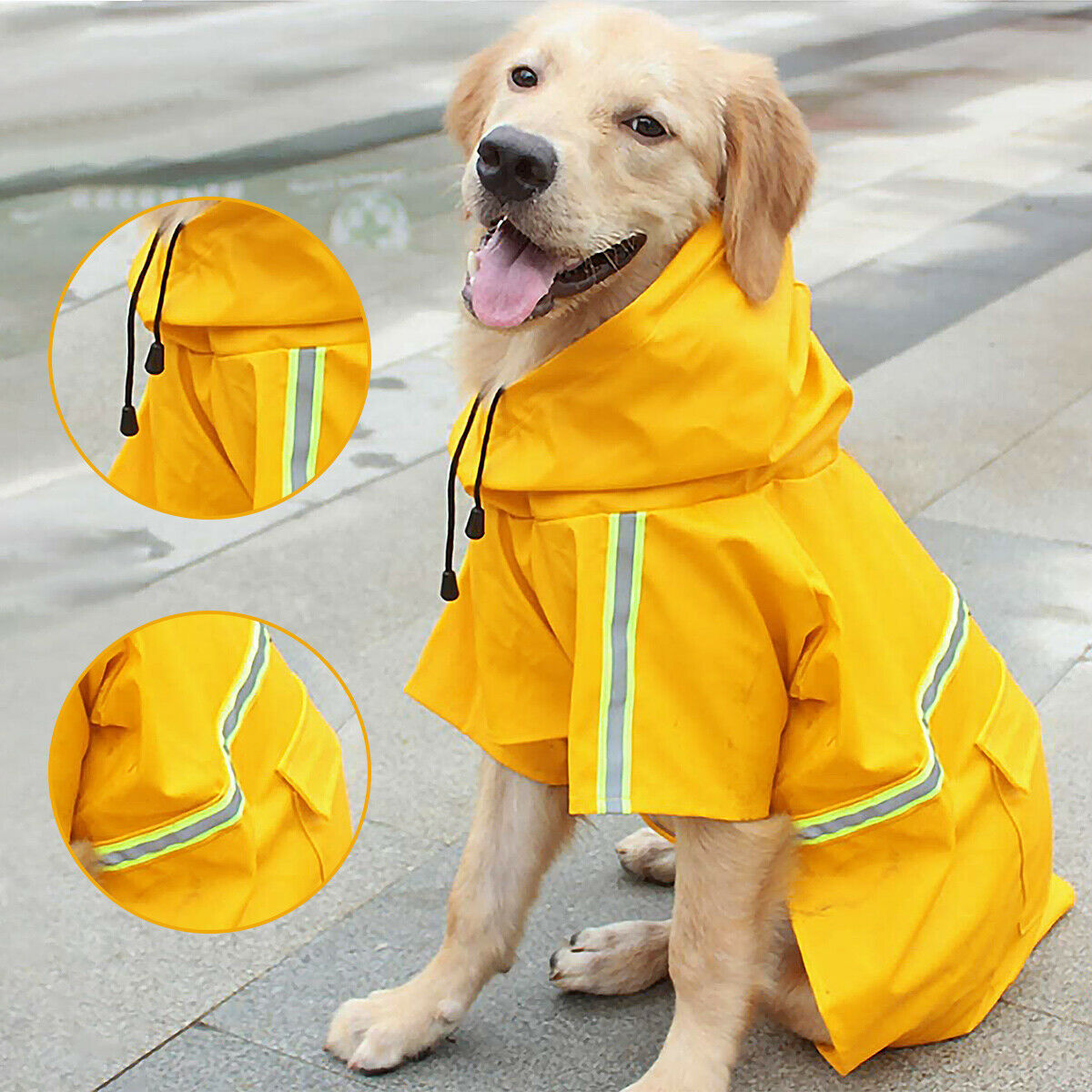 Waterproof Rain Jacket With Safety Reflective Stripe - For Boo n Meow