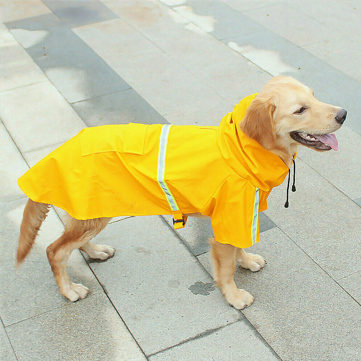 Waterproof Rain Jacket With Safety Reflective Stripe - For Boo n Meow